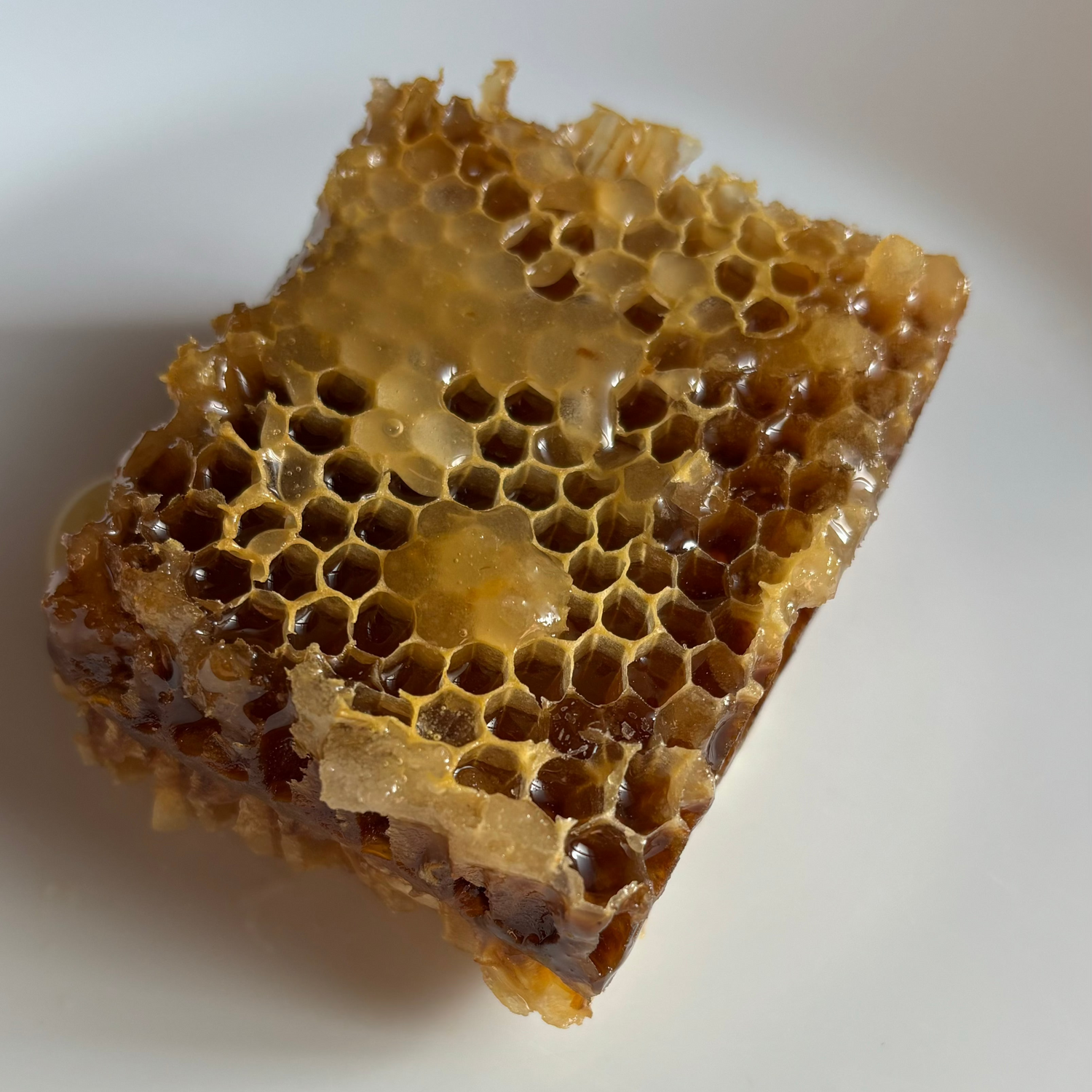 Miel de Milflores de la Alcarria