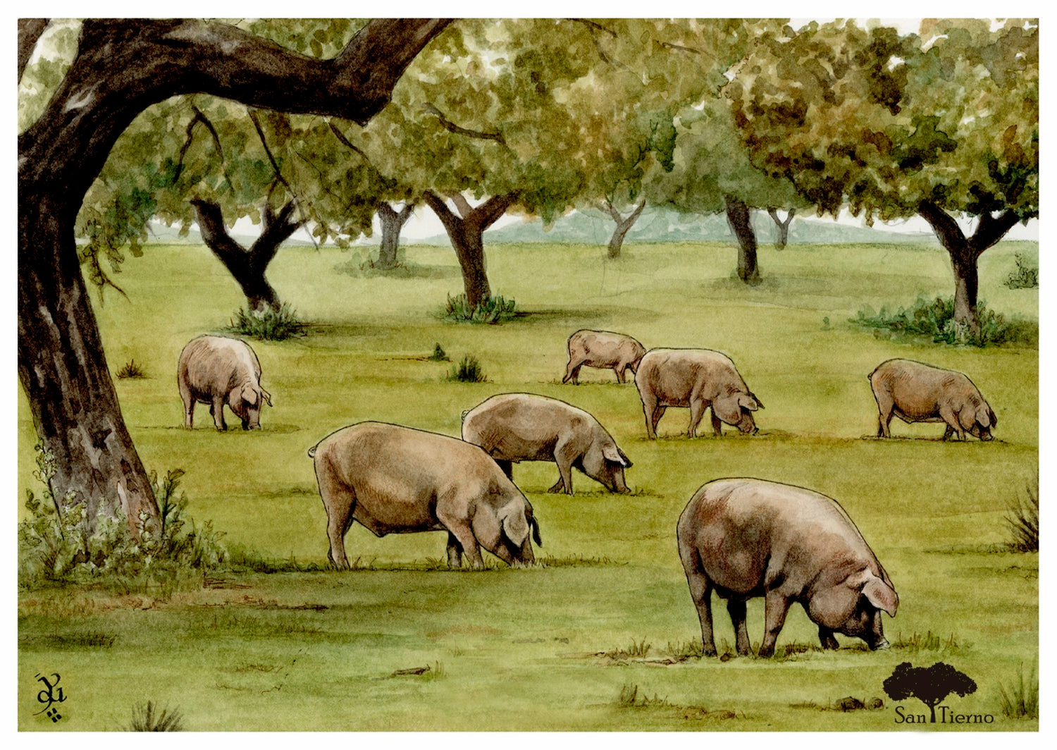 Tarjeta dedicatoria San Tierno con ilustración de cerdos ibéricos en la dehesa