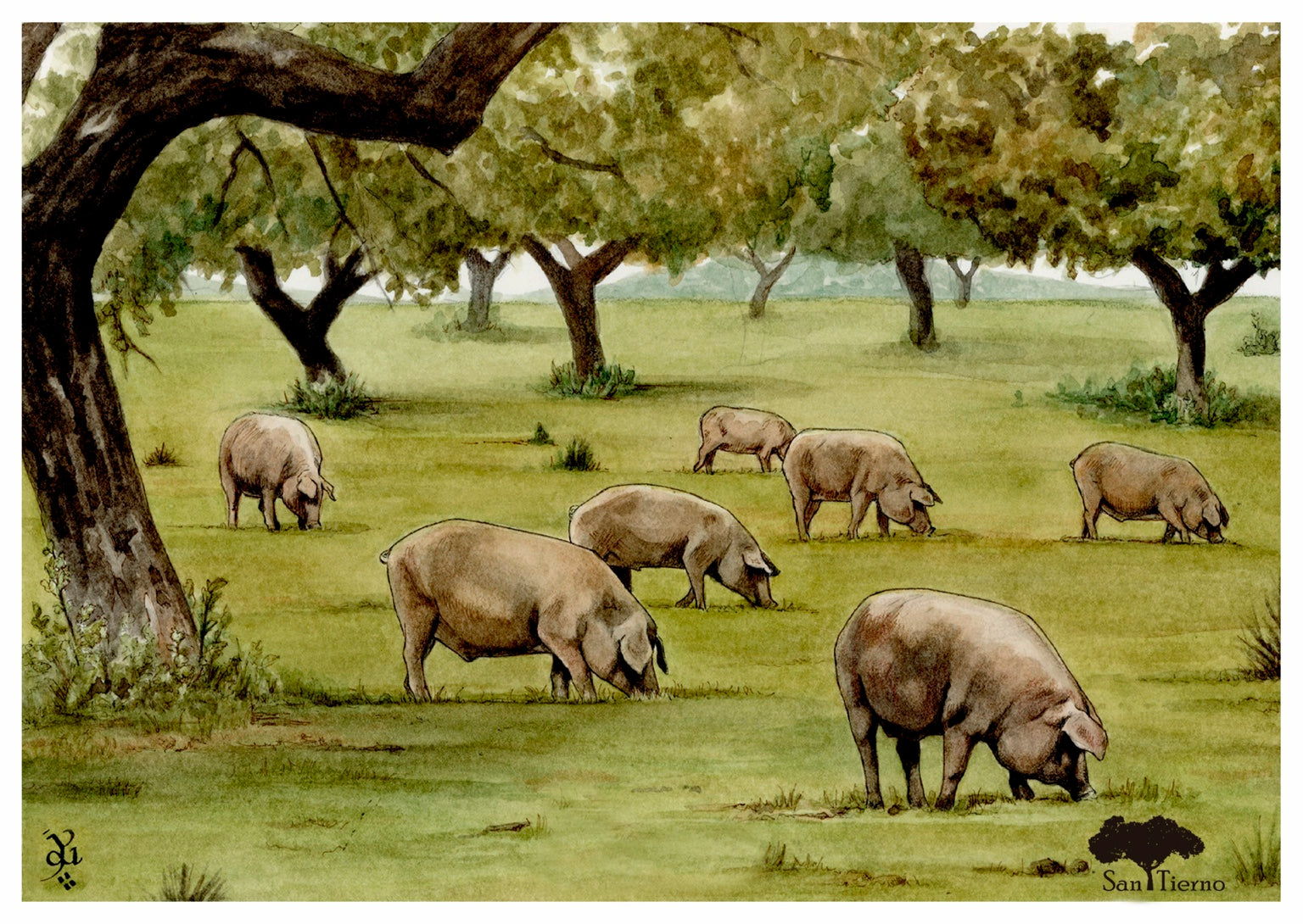 Tarjeta dedicatoria San Tierno con ilustración de cerdos ibéricos en la dehesa